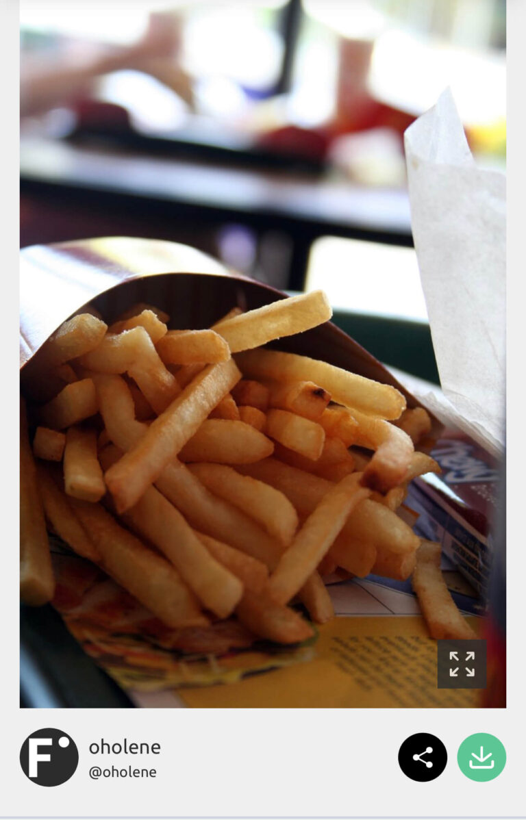 French Fry 768x1198